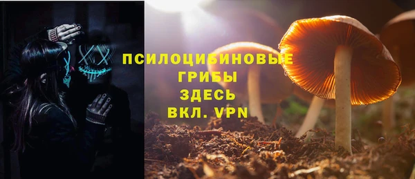 дживик Елабуга