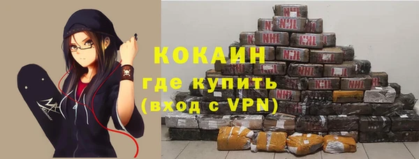 дживик Елабуга