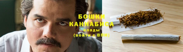 дживик Елабуга