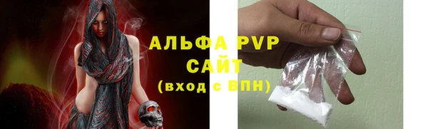 дживик Елабуга