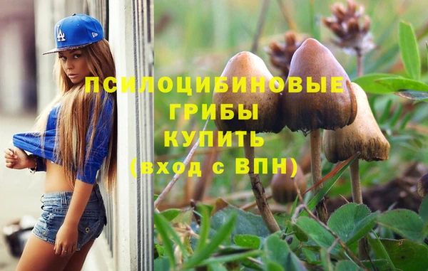 гашиш Ельня
