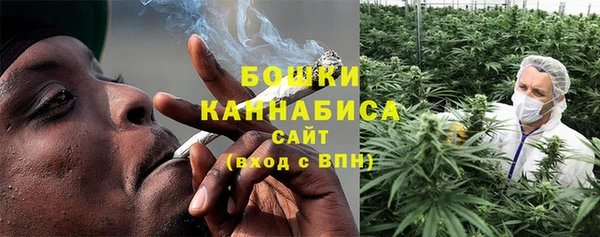 дживик Елабуга