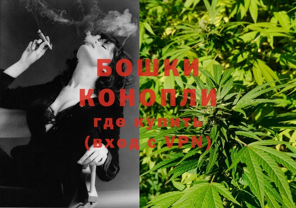 дживик Елабуга