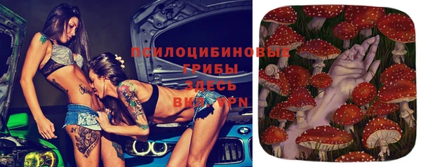 дживик Елабуга