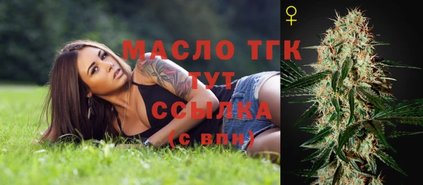 дживик Елабуга