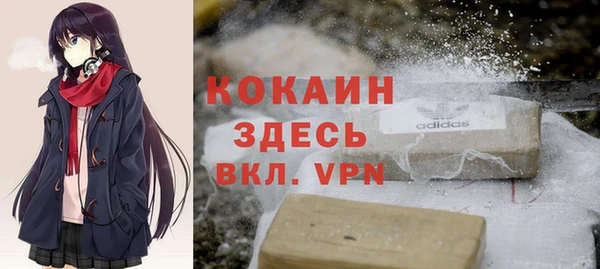 дживик Елабуга
