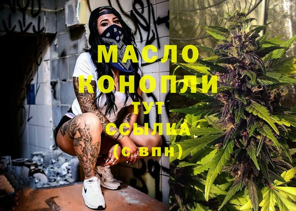 дживик Елабуга