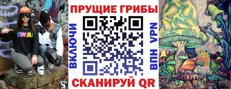 Галлюциногенные грибы мицелий  Купить где  Ельня 